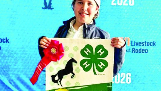 4-H HORSE COMPETITORS SHINE AT DISTRICT