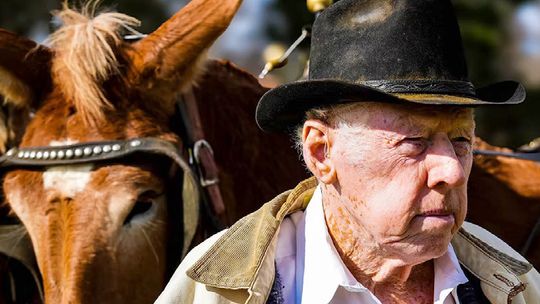 82-Year-Old embarks on 350-Mile wagon journey