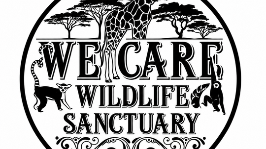 Authorities execute search, seizure warrant at We Care Wildlife Sanctuary