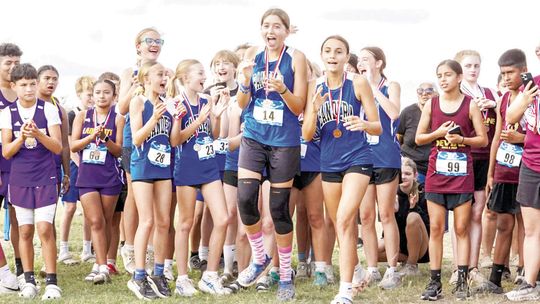 BMS runners shine at district championship meet