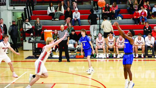 Bulldogs fall in district opener