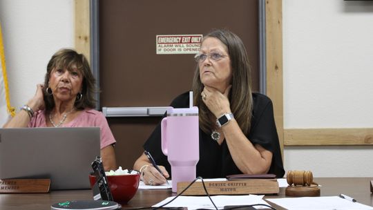Council reviews resiliency plan, permit fee changes