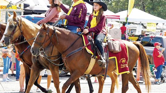 Labor Day parade includes longhorns, royalty