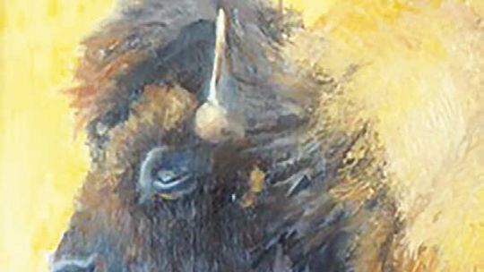 Lakehills Area Library showcases two local artists