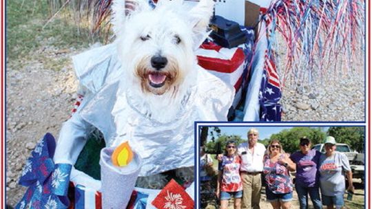 Patriotic pets prance at park for pet parade