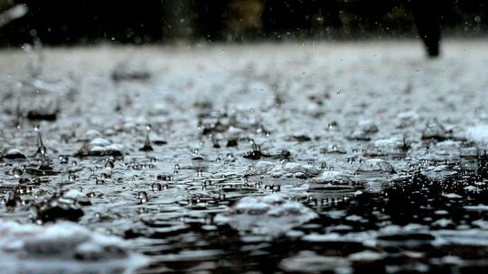 Vehicle swept away in floodwaters, search underway