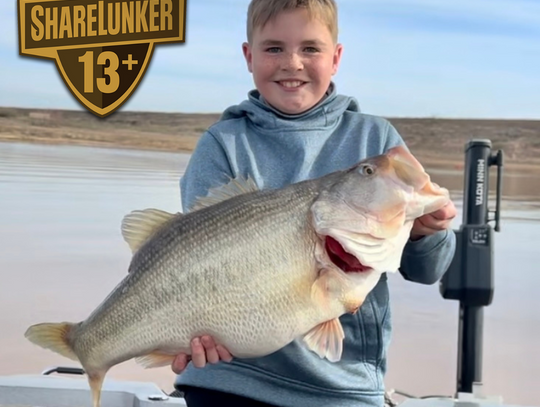 11-Year-Old shatters junior waterbody largemouth bass record, joins father on books