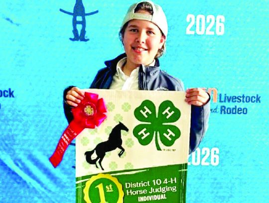4-H HORSE COMPETITORS SHINE AT DISTRICT