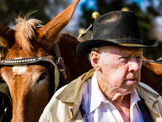 82-Year-Old embarks on 350-Mile wagon journey