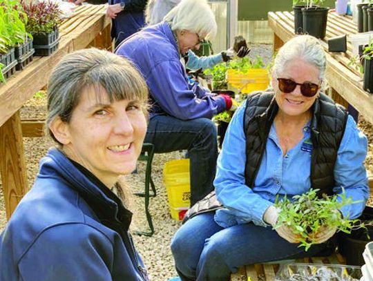 Blooms and Barrels sale slated for April 11