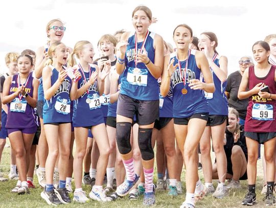 BMS runners shine at district championship meet