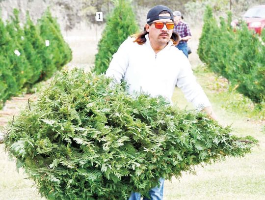 Christmas in the cowboy capital