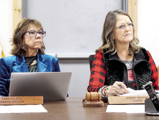 Council appoints Jankoski, Flowers to EDC