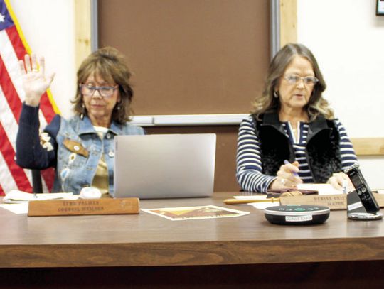 COUNCIL LAUNCHES ADMIN SEARCH