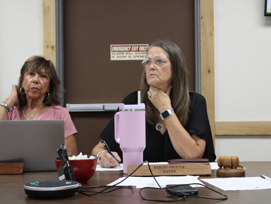 Council reviews resiliency plan, permit fee changes