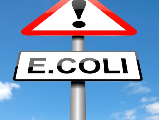 E. coli present at Cornelius Road