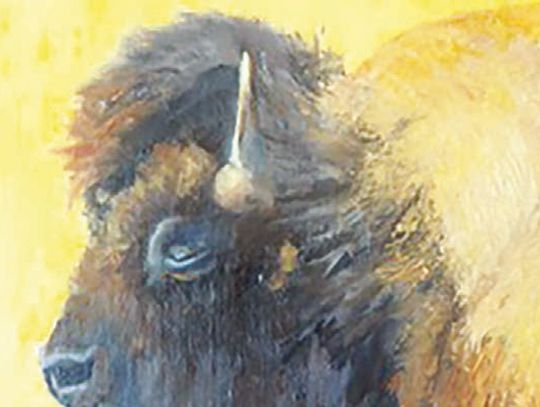 Lakehills Area Library showcases two local artists