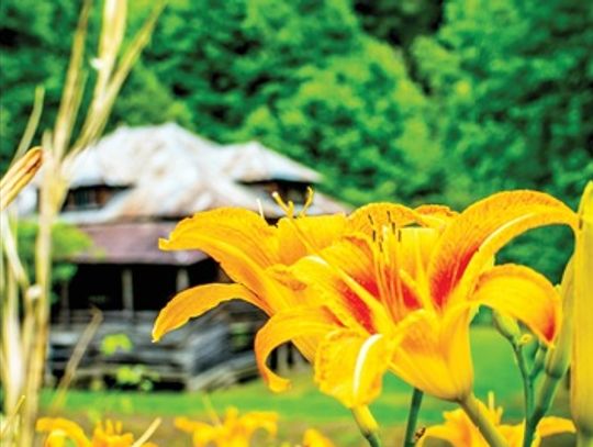 Library featuring Pipe Creek photographer in August