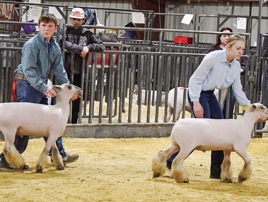 LIVESTOCK SHOW CELEBRATES LOCAL YOUTH’S ACHIEVEMENTS