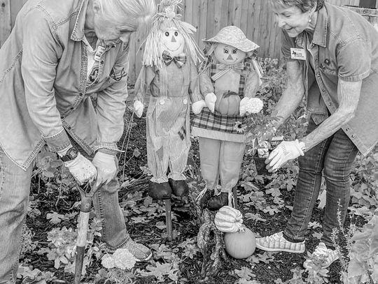 Master Gardeners hosting fall festival