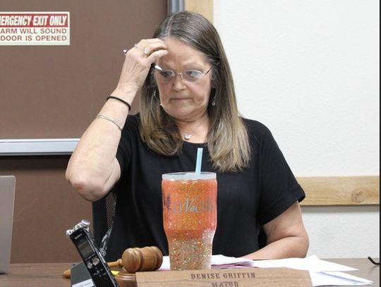Mayor directed Flock installations to proceed as opposition mounted