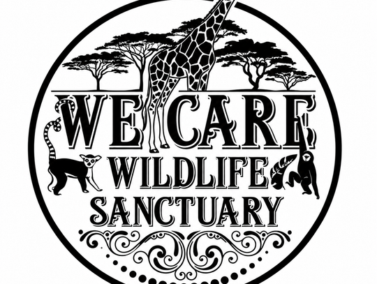 More than 20 animals found dead, over 100 removed from We Care Wildlife Sanctuary