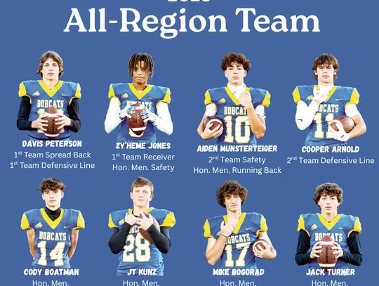 Multiple Medina players nab All-Regional honors