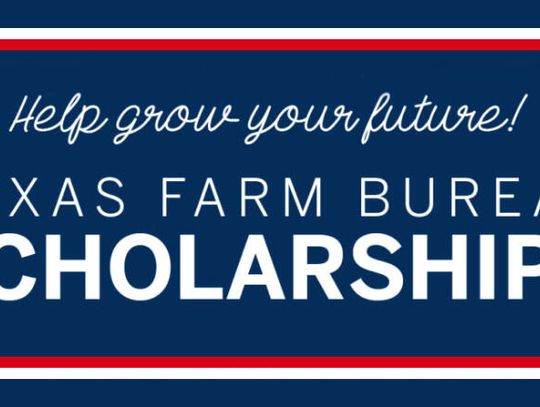 Over $840k in TFB scholarships available