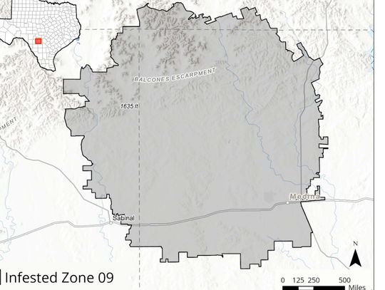 Part of Bandera County placed under screwworm quarantine