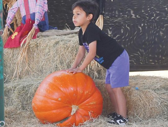 Pumpkin Patch concludes another season