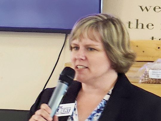 Railroad Commission candidate speaks to Democratic Club