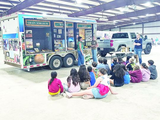 Students get look at agriculture during Bandera Ag Day