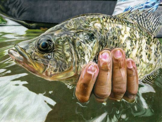 Texas fish art contest opens