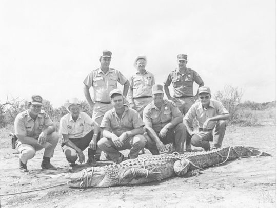 The Possum Cop Chronicles