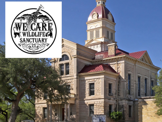 We Care Wildlife Sanctuary ordered to surrender animals following civil judgment
