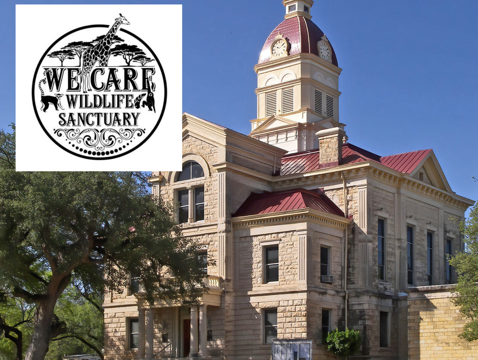 We Care Wildlife Sanctuary ordered to surrender animals following civil judgment