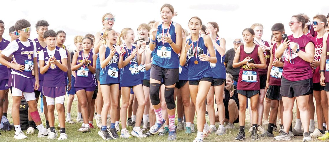 BMS runners shine at district championship meet