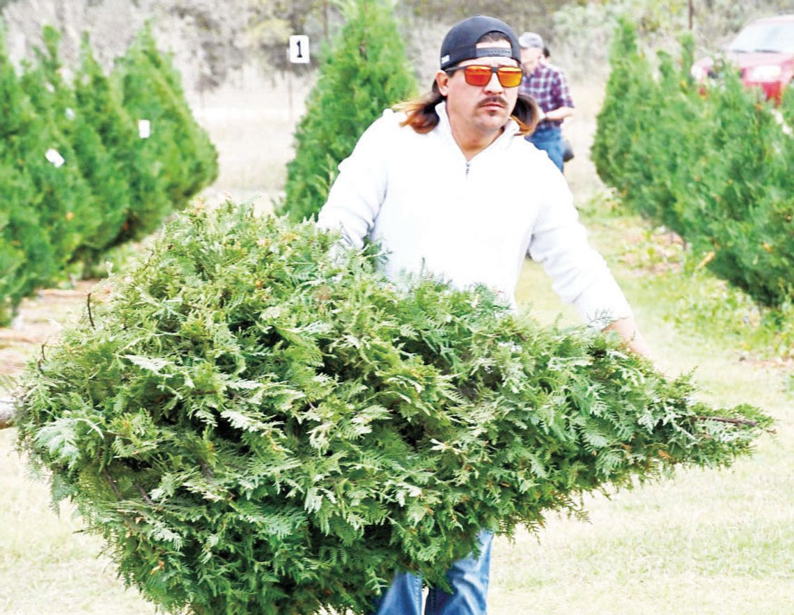 Christmas in the cowboy capital