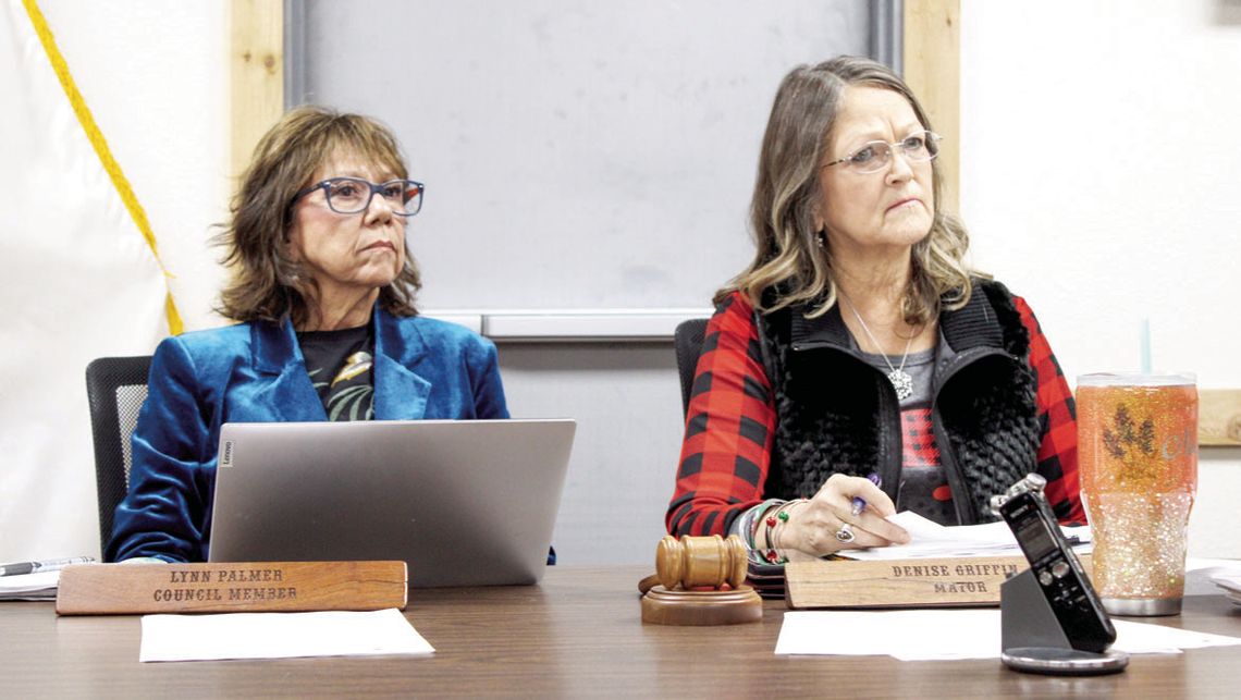 Council appoints Jankoski, Flowers to EDC Council appoints Jankoski, Flowers to EDC