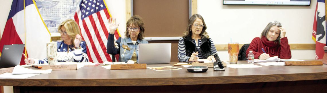 COUNCIL LAUNCHES ADMIN SEARCH