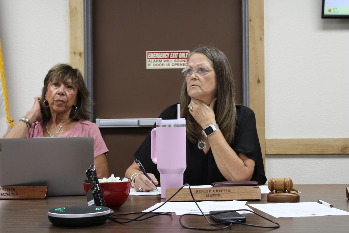 Council reviews resiliency plan, permit fee changes