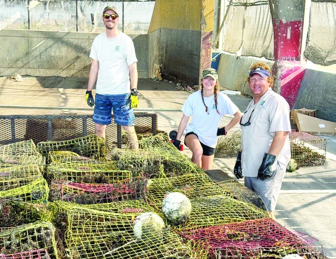 Crab trap removal program hauls nearly 1,000 traps