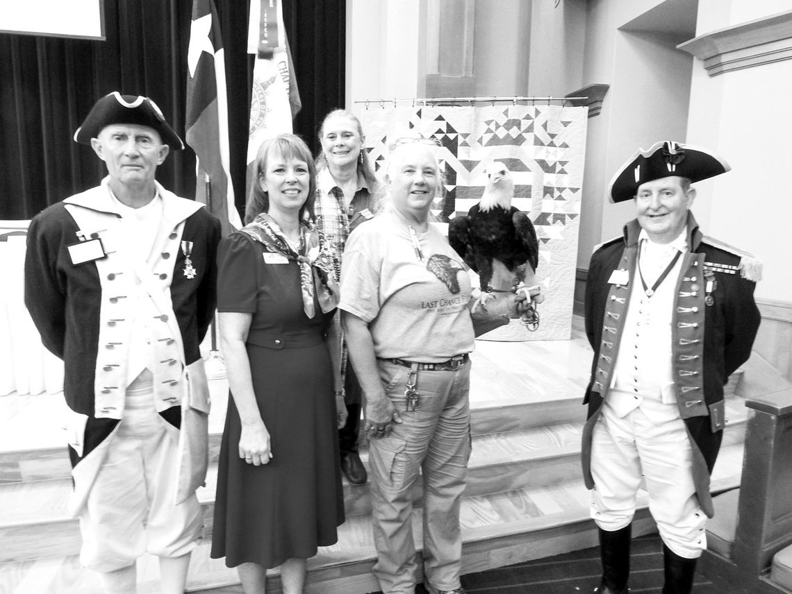 DAR recognizes Bald Eagle conservation