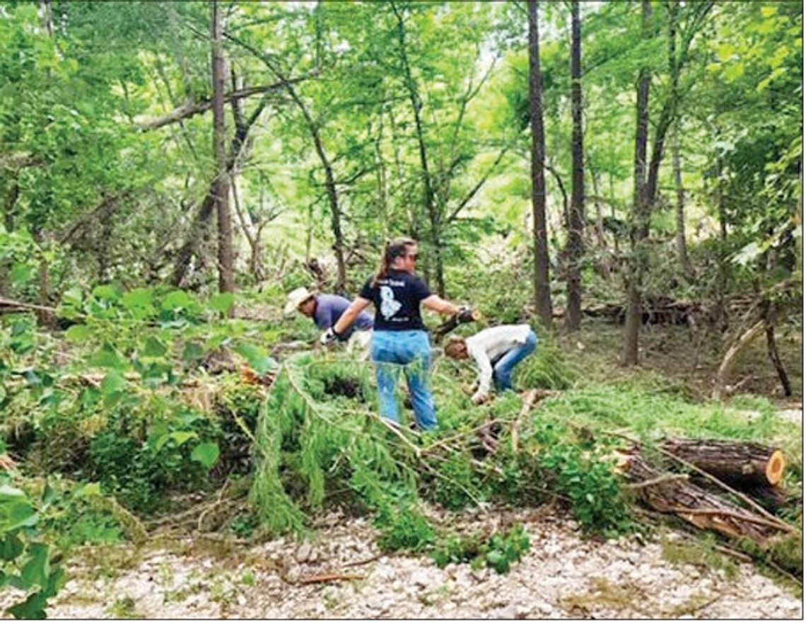 Horse owners team with city employees to clean park debris