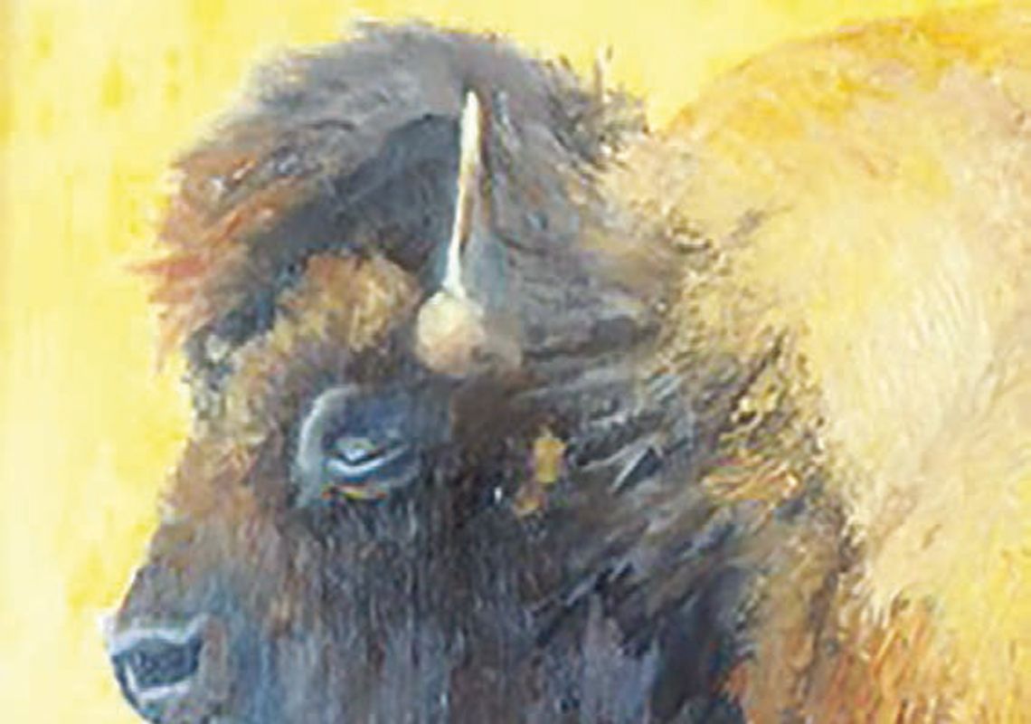 Lakehills Area Library showcases two local artists Lakehills Area Library showcases two local artists