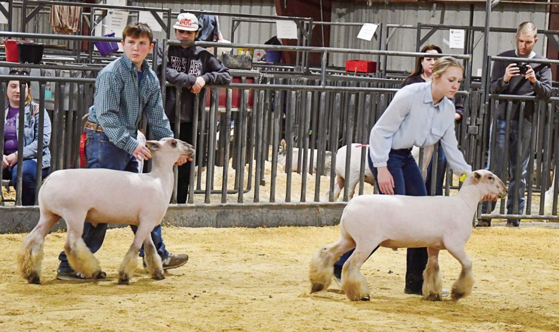 LIVESTOCK SHOW CELEBRATES LOCAL YOUTH’S ACHIEVEMENTS