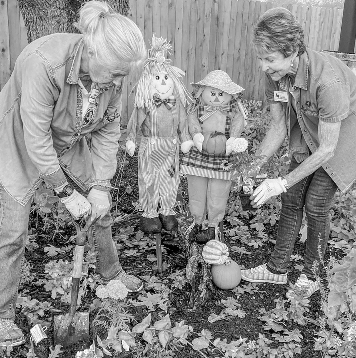 Master Gardeners hosting fall festival