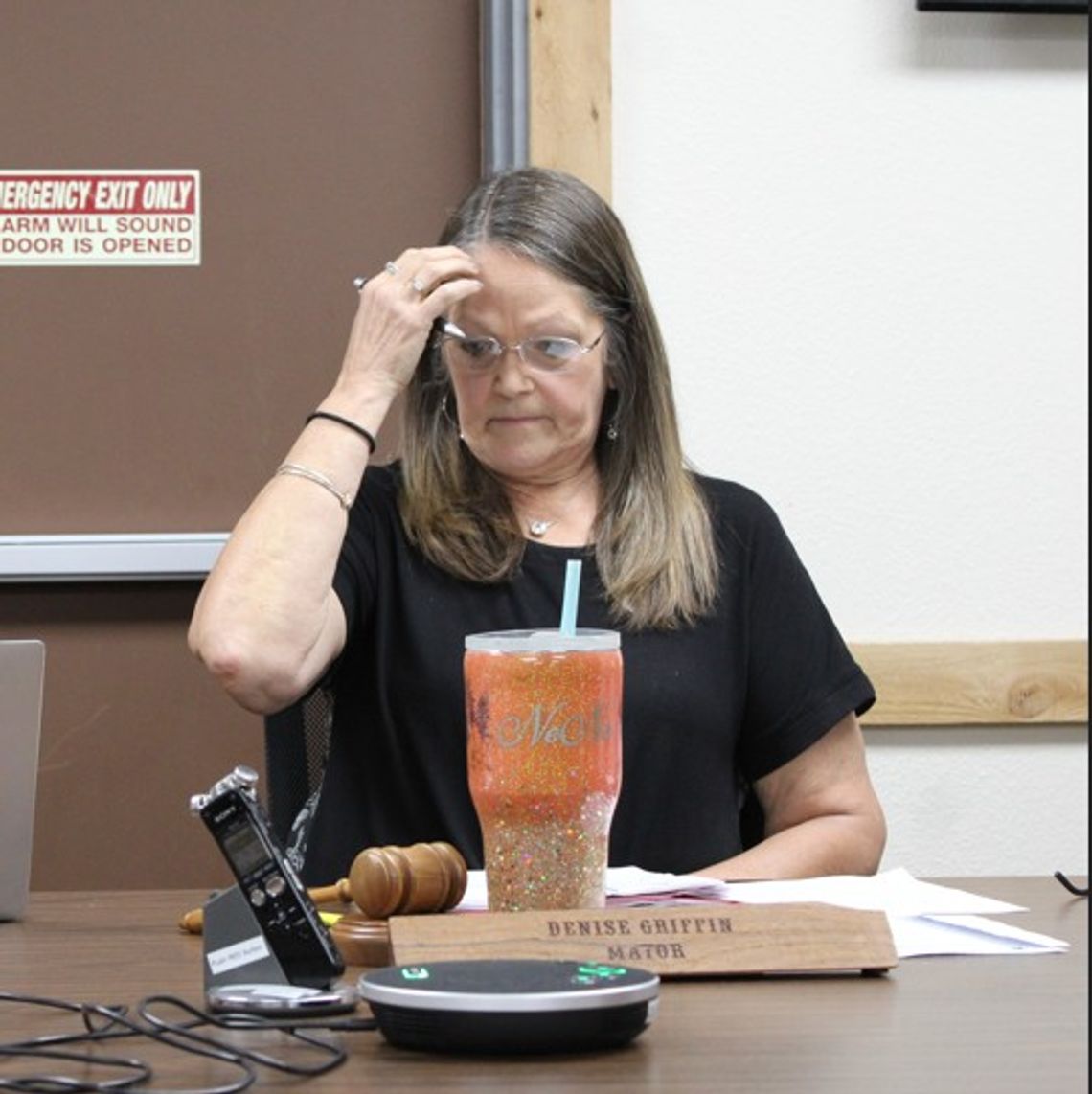 Mayor directed Flock installations to proceed as opposition mounted