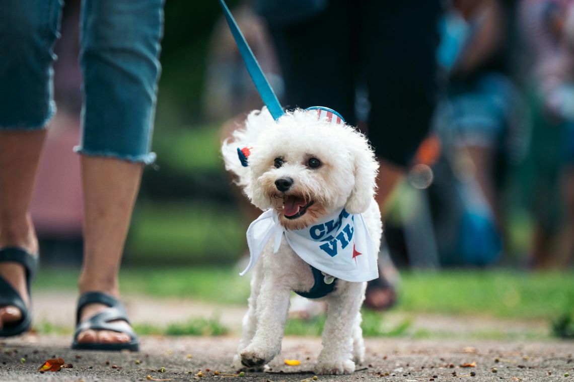 Pet parade cancelled