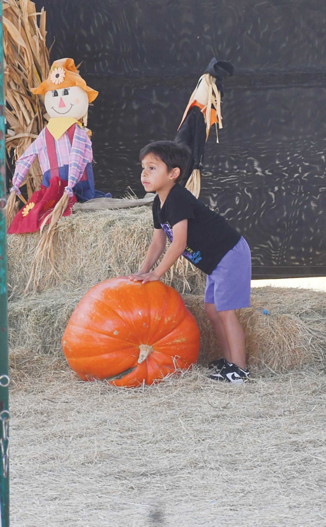 Pumpkin Patch concludes another season